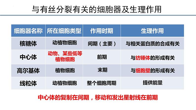 6.1细胞的增殖第3课时课件2023-2024学年高一上学期生物人教版必修108