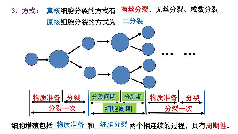 6.1细胞的增殖（第1课时）课件2023-2024学年高一上学期生物人教版必修105