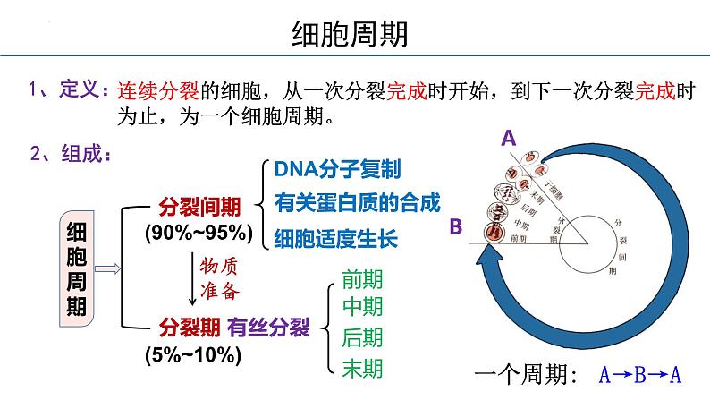 6.1细胞的增殖（第1课时）课件2023-2024学年高一上学期生物人教版必修107