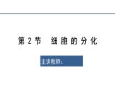 6.2细胞的分化  课件 2023——2024学年高一上学期生物人教版必修1