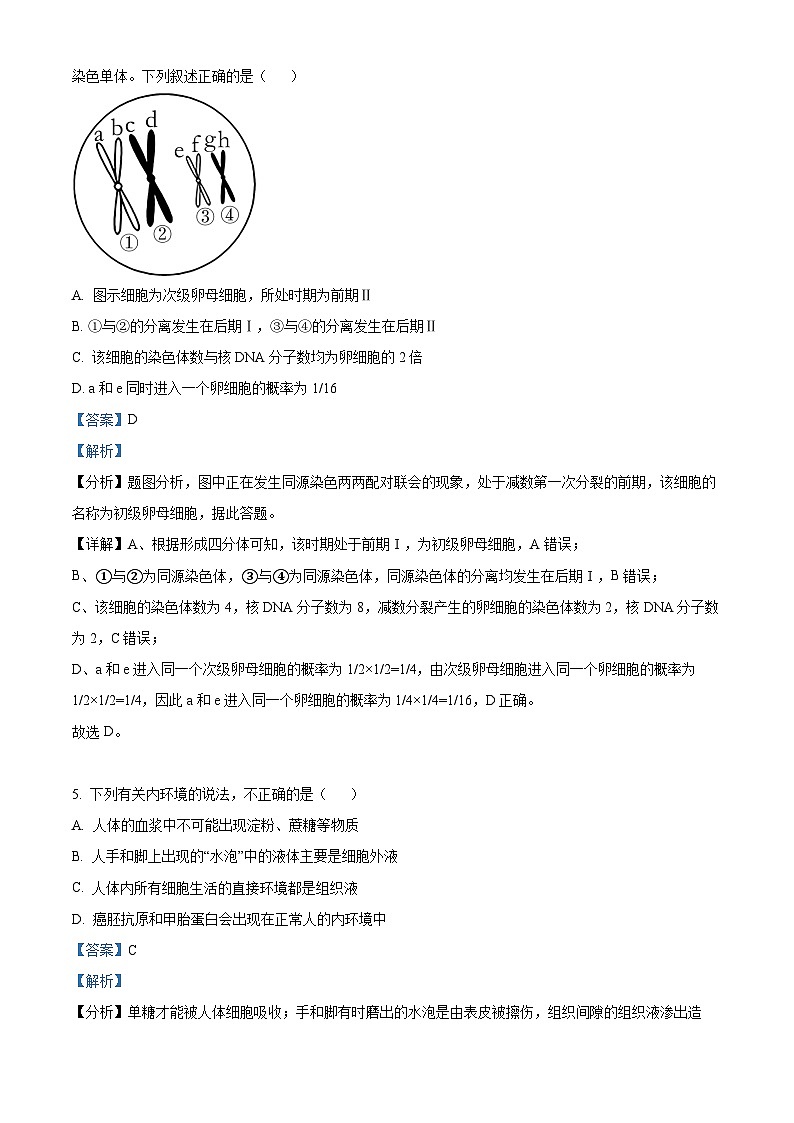湖北省襄阳市宜城市第一中学2023-2024学年高二生物上学期9月月考试卷（Word版附解析）03