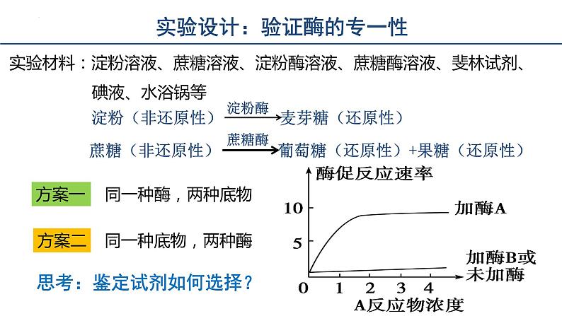 5.1降低化学反应活化能的酶（第2课时）课件2023-2024学年高一上学期生物人教版必修107