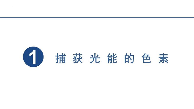 5.4.1光合作用与能量转化课件2023-2024学年高一上学期生物人教版必修104