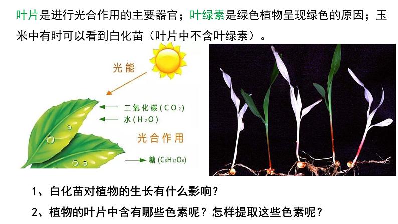 5.4.1光合作用与能量转化课件2023-2024学年高一上学期生物人教版必修105