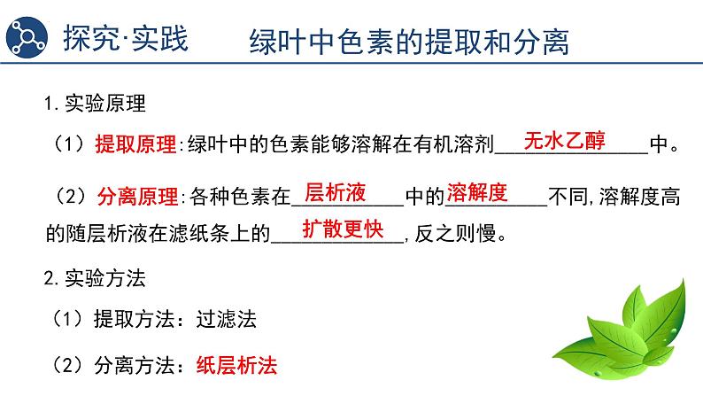 5.4.1光合作用与能量转化课件2023-2024学年高一上学期生物人教版必修106