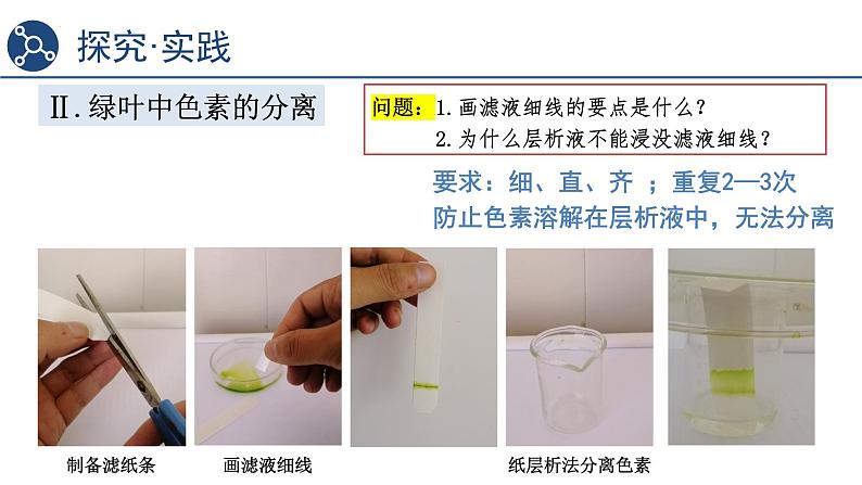 5.4.1光合作用与能量转化课件2023-2024学年高一上学期生物人教版必修108