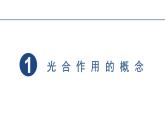 5.4.2光合作用与能量转化课件2023-2024学年高一上学期生物人教版必修1