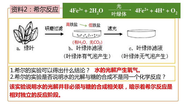 5.4.2光合作用与能量转化课件2023-2024学年高一上学期生物人教版必修1第6页