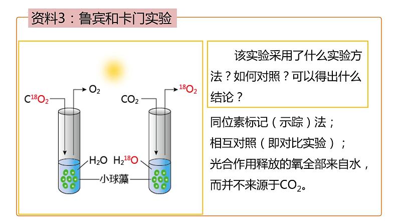 5.4.2光合作用与能量转化课件2023-2024学年高一上学期生物人教版必修1第7页