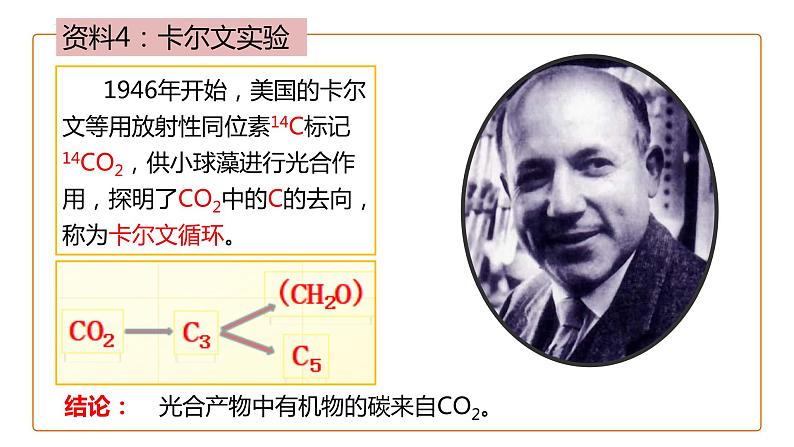 5.4.2光合作用与能量转化课件2023-2024学年高一上学期生物人教版必修1第8页