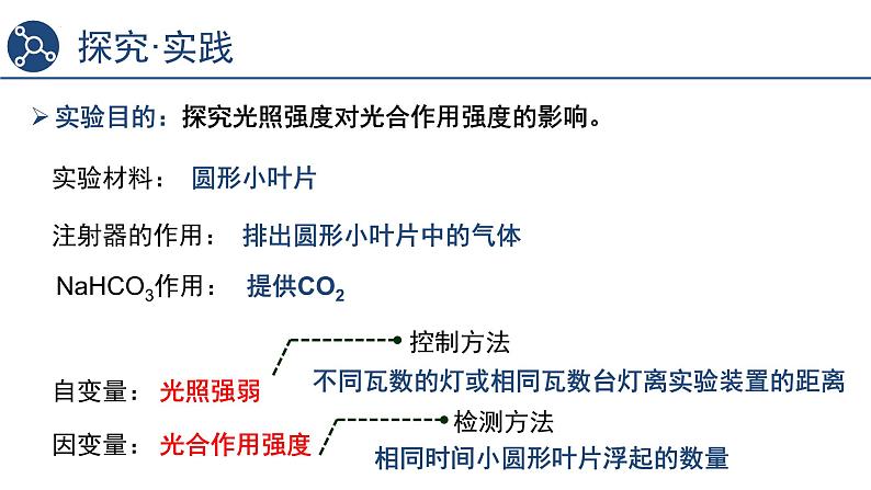 5.4光合作用与能量转化（第4课时）课件2023-2024学年高一上学期生物人教版必修103