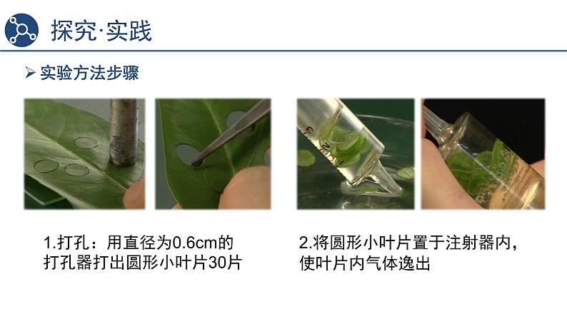 5.4光合作用与能量转化（第4课时）课件2023-2024学年高一上学期生物人教版必修104