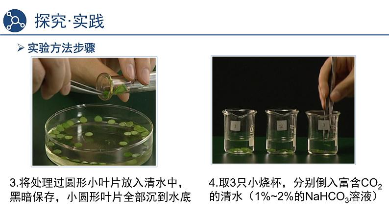 5.4光合作用与能量转化（第4课时）课件2023-2024学年高一上学期生物人教版必修105