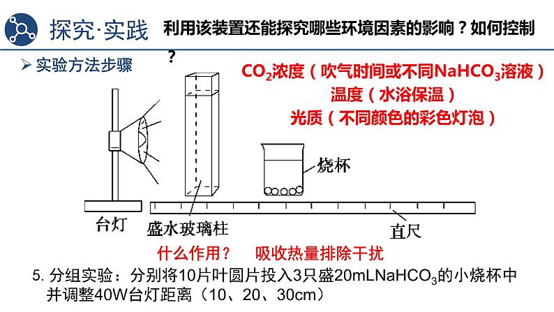 5.4光合作用与能量转化（第4课时）课件2023-2024学年高一上学期生物人教版必修106