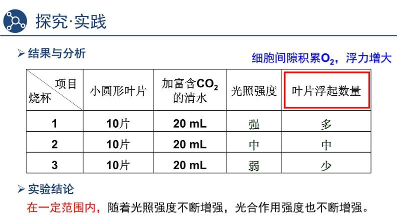 5.4光合作用与能量转化（第4课时）课件2023-2024学年高一上学期生物人教版必修107