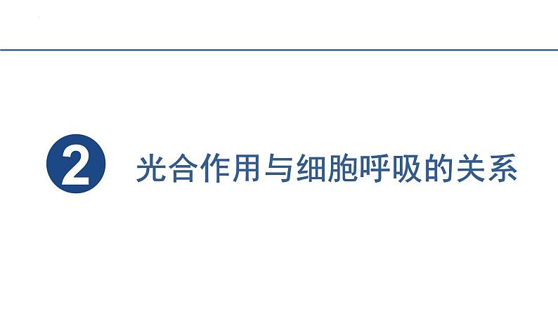 5.4光合作用与能量转化（第4课时）课件2023-2024学年高一上学期生物人教版必修108