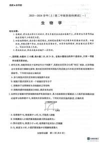 安徽省芜湖市镜湖区安徽师范大学附属中学2023-2024学年高二上学期10月月考生物试题