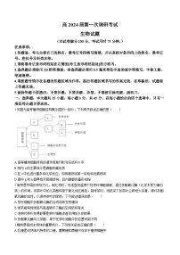 重庆市梁平区2023-2024学年高三上学期第一次调研考试生物试题