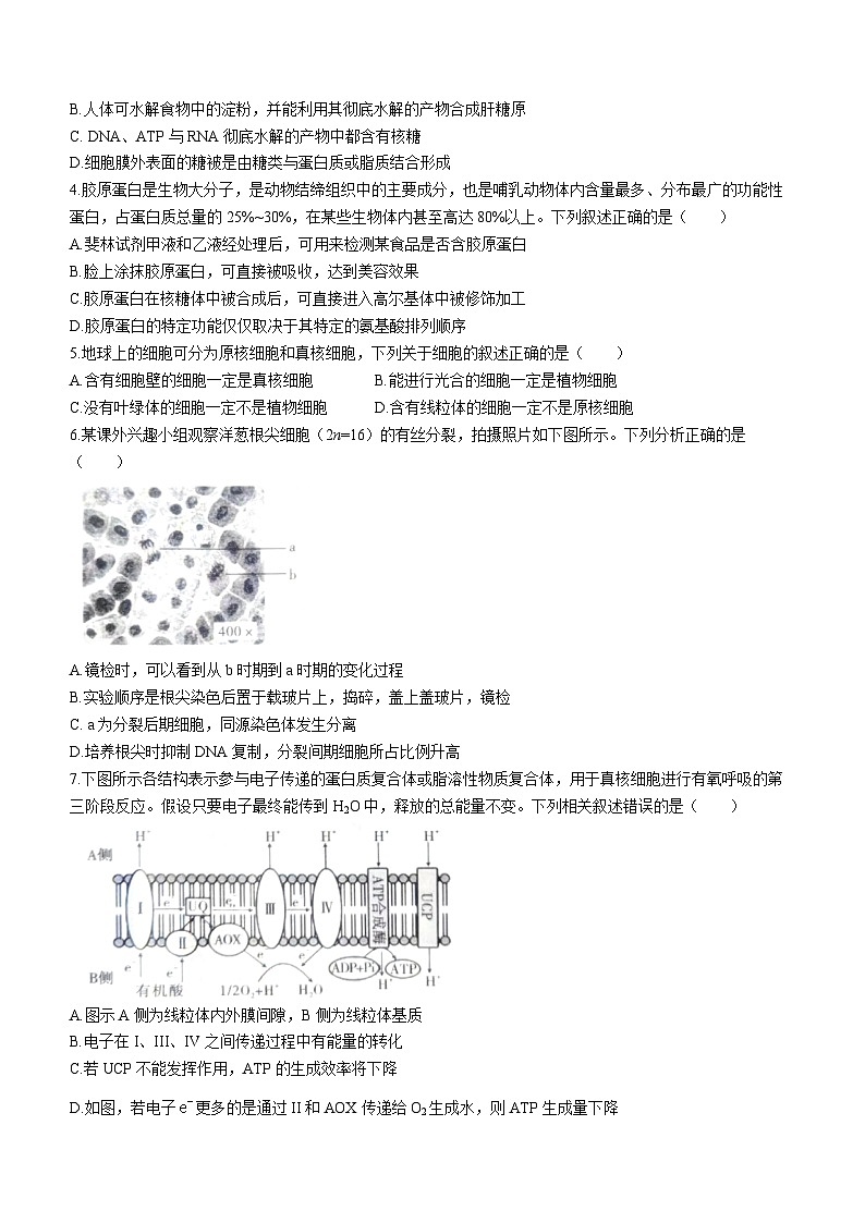 重庆市梁平区2023-2024学年高三上学期第一次调研考试生物试题第2页