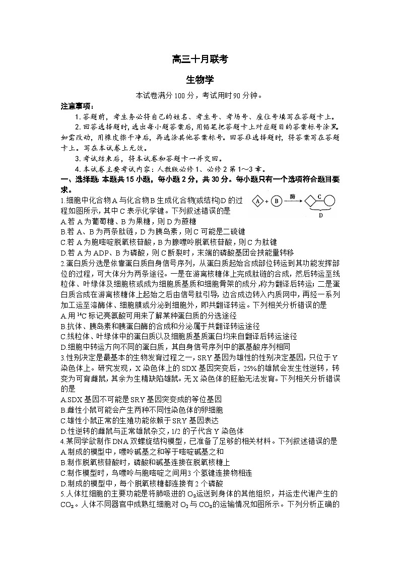 2024届山东省部分学校高三上学期十月联考生物试题及答案01