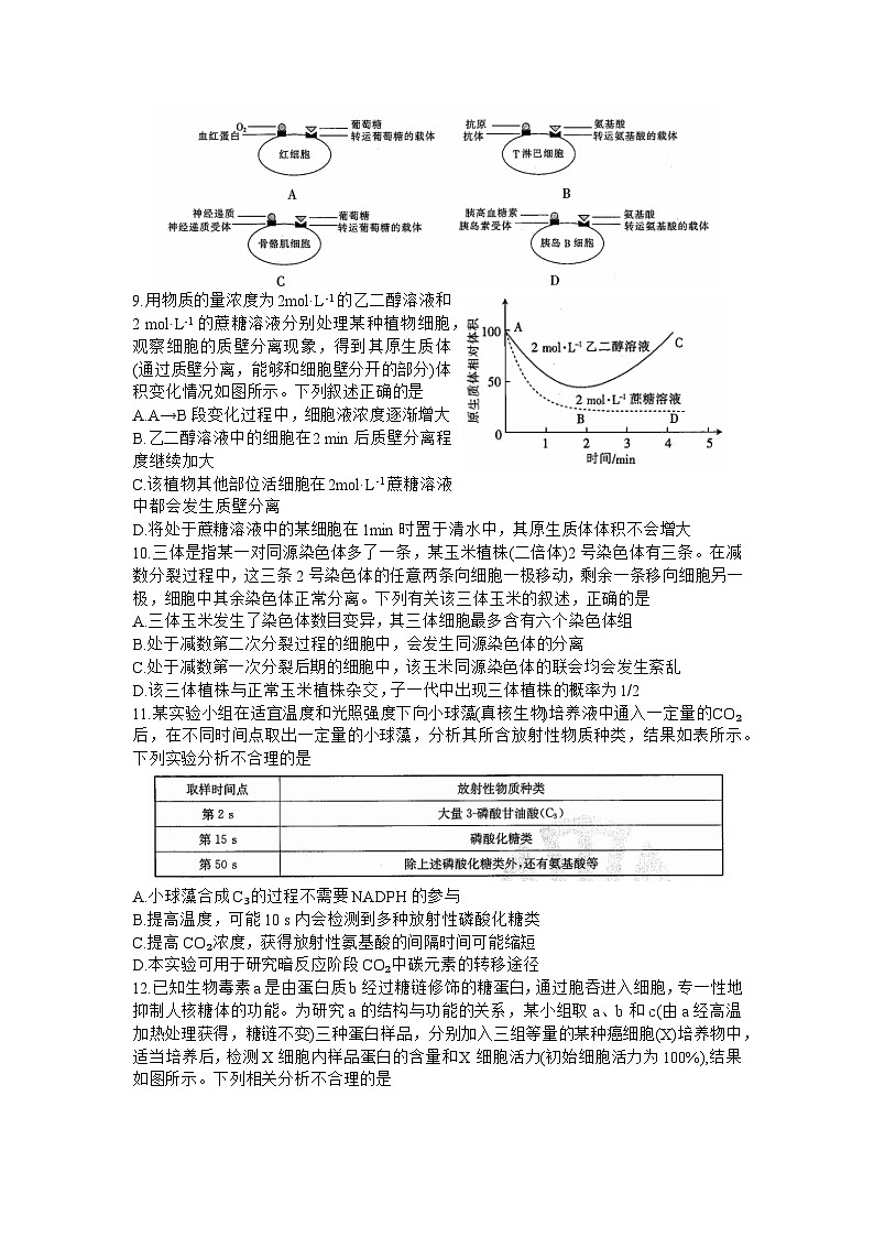 2024届山东省部分学校高三上学期十月联考生物试题及答案03