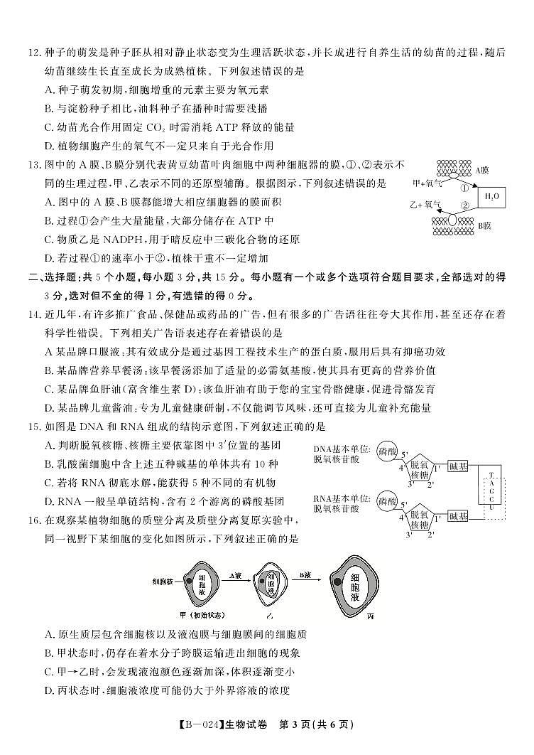 安徽皖江名校联盟2024届高三上学期10月阶段考试生物试题及答案03