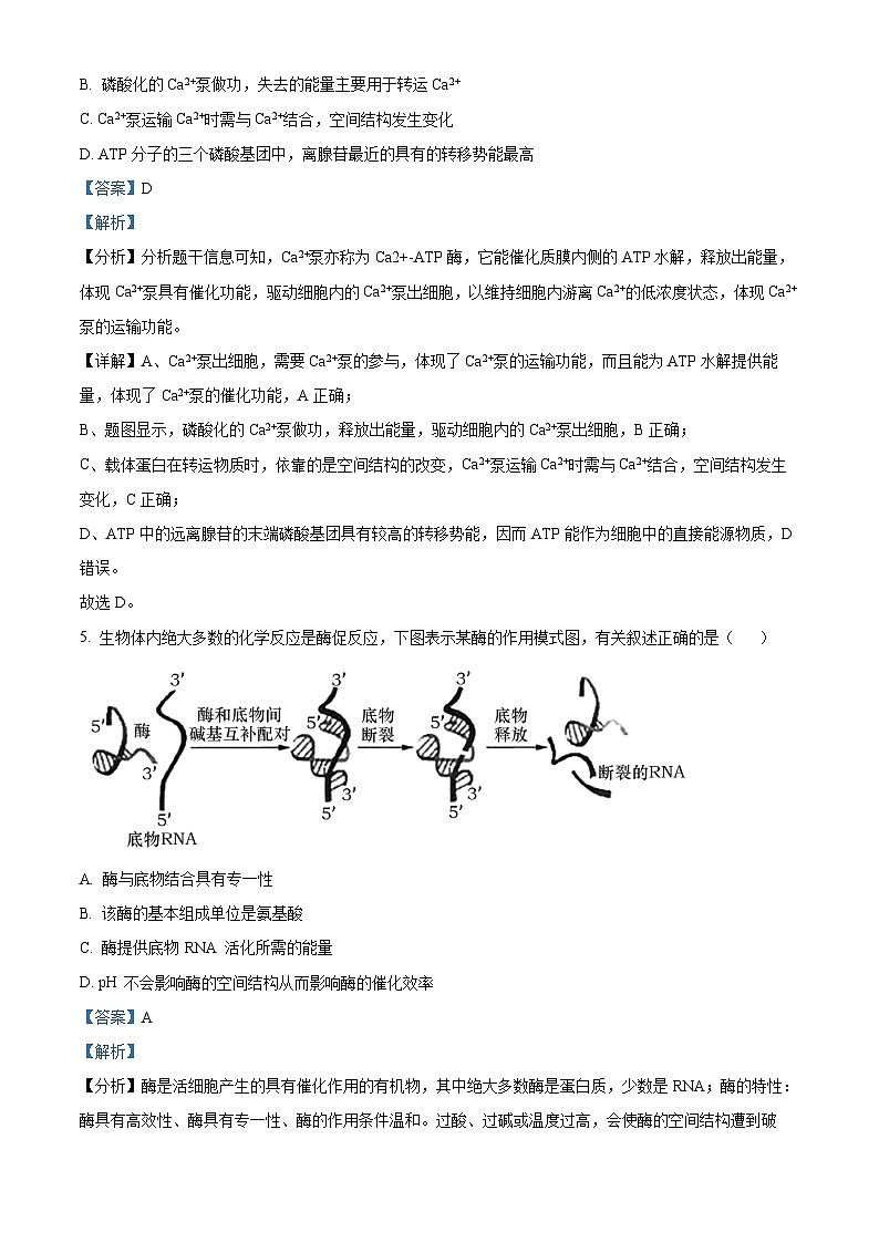 贵州省铜仁市思南中学2023-2024学年高三上学期第二次月考生物试题含解析第3页