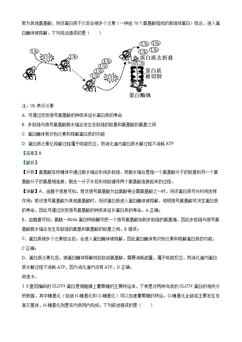 湖南师范大学附属中学2023-2024学年高三上学期月考（二）生物试题（解析版）第2页
