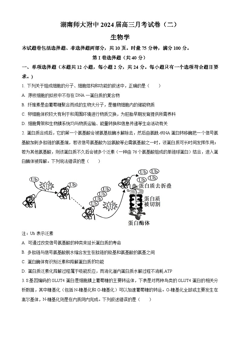 湖南师范大学附属中学2023-2024学年高三上学期月考（二）生物试题（原卷版）第1页