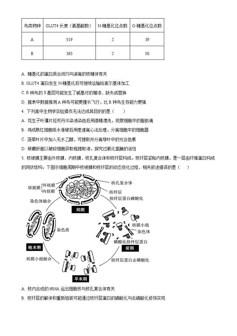 湖南师范大学附属中学2023-2024学年高三上学期月考（二）生物试题（原卷版）第2页