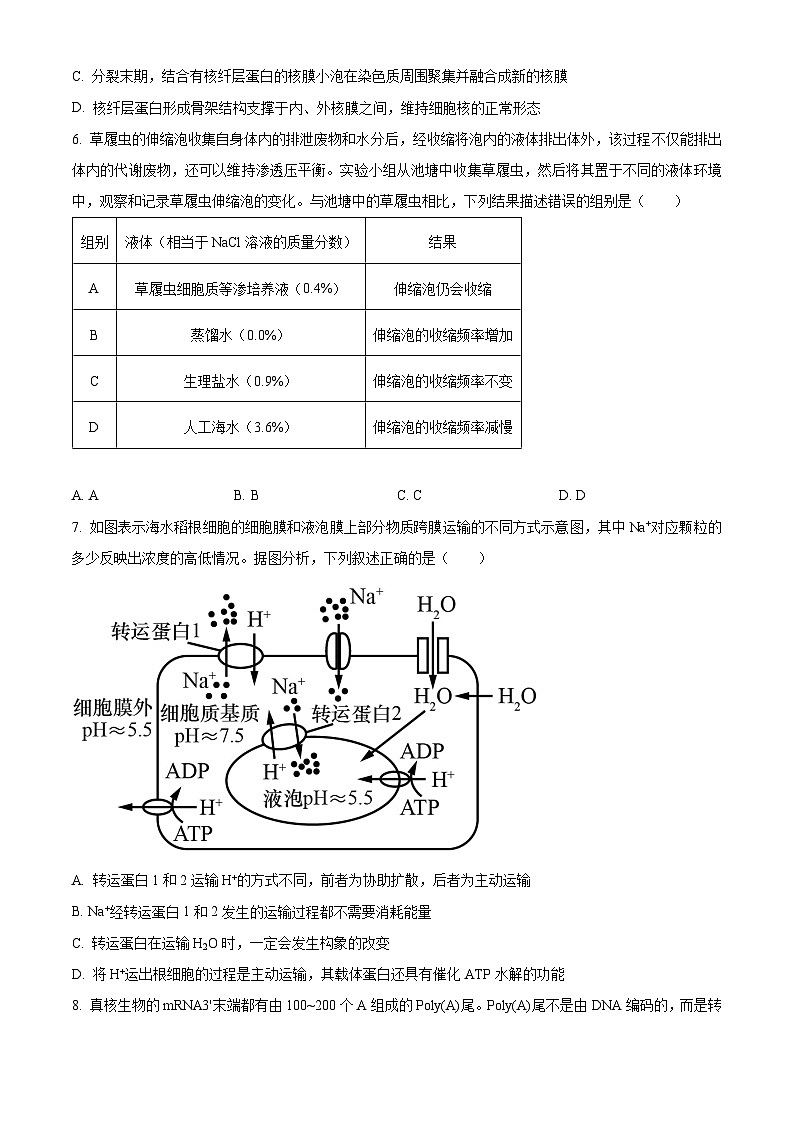 湖南师范大学附属中学2023-2024学年高三上学期月考（二）生物试题（原卷版）第3页
