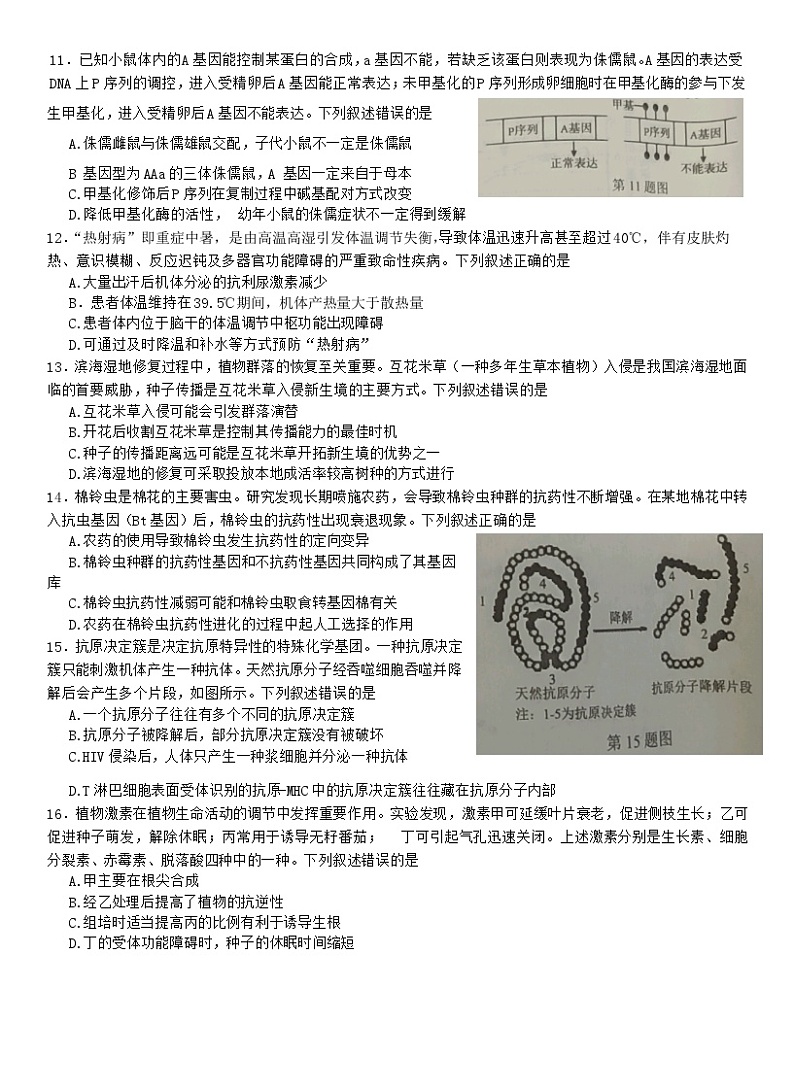 2024浙江省浙南联盟高三上学期第一次联考生物试题第3页