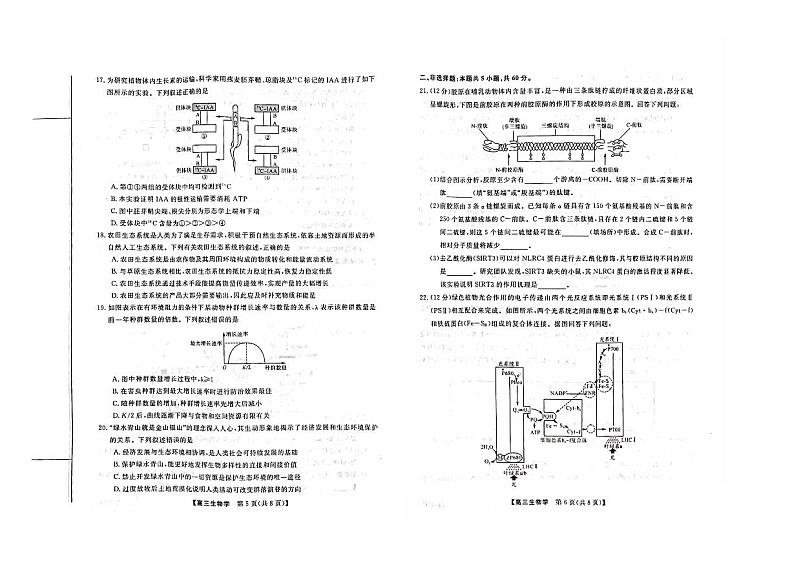 2024山西省部分学校高三上学期10月联考试题生物PDF版含解析03