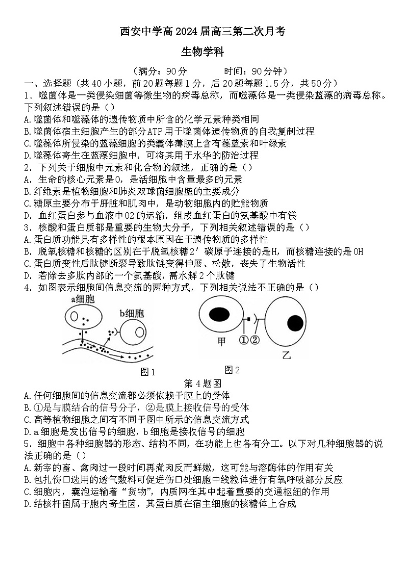 2024西安中学高三上学期第二次月考试题生物含答案01