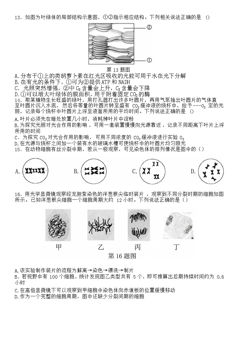 2024西安中学高三上学期第二次月考试题生物含答案03