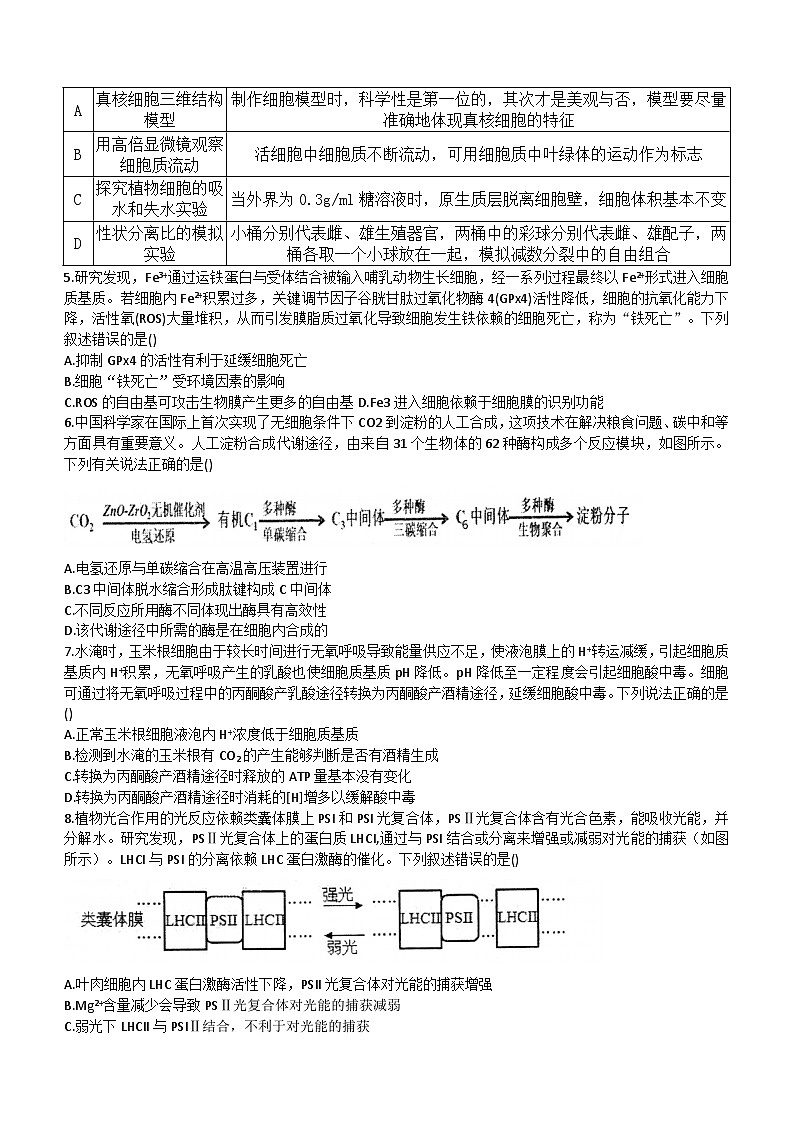 2024德州一中高三上学期10月月考试题生物含答案第2页
