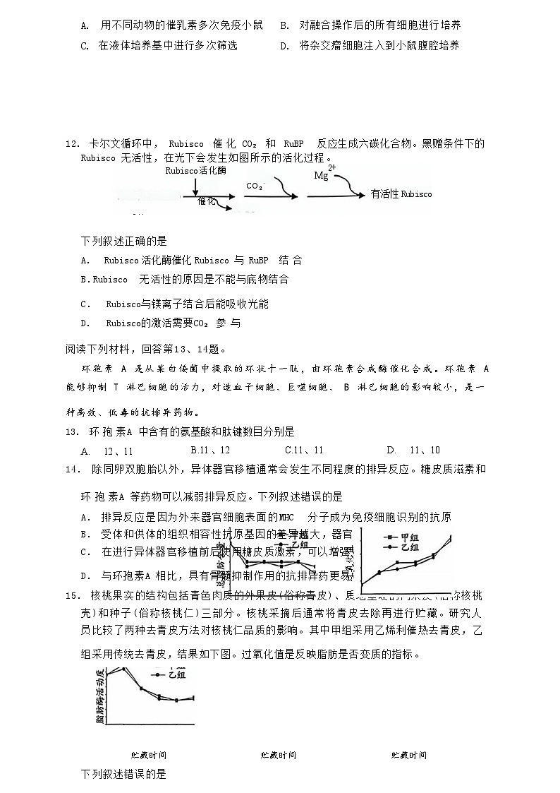 2024嘉兴高三上学期9月基础测试（统考）生物试题含答案03