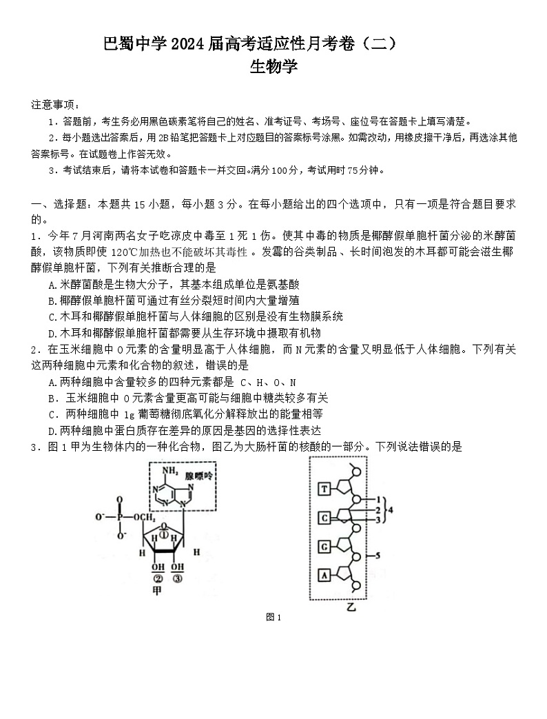 重庆市巴蜀中学2023-2024学年高三上学期高考适应性月考卷（二）生物试题第1页