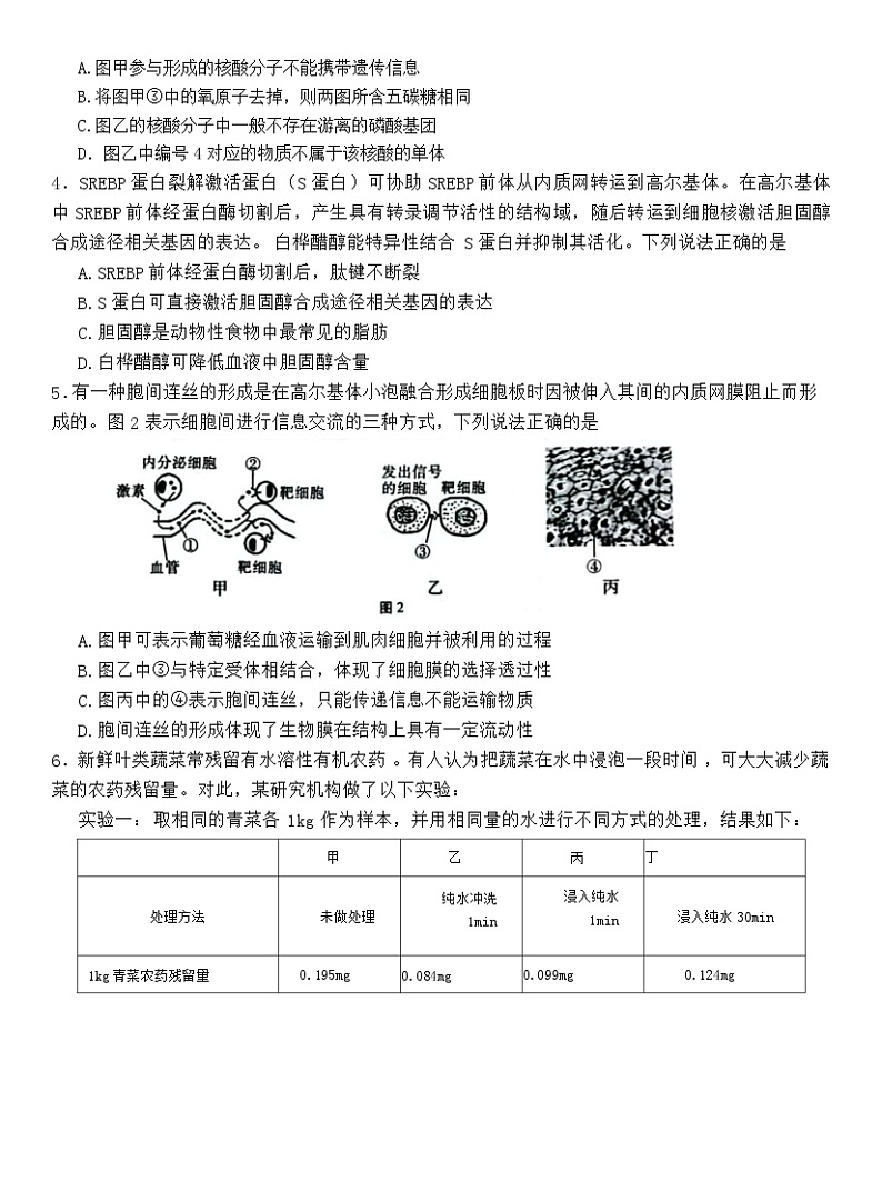 重庆市巴蜀中学2023-2024学年高三上学期高考适应性月考卷（二）生物试题第2页