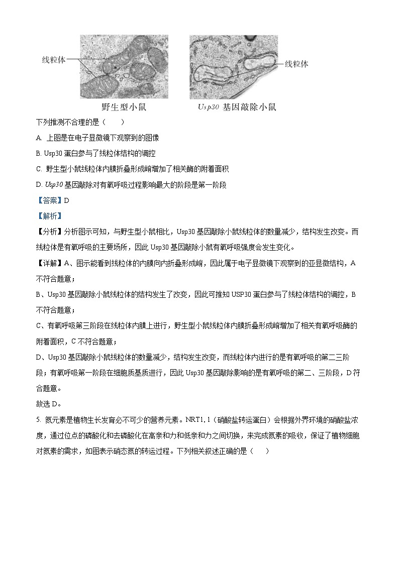 2024长沙长郡中学高三上学期月考（二）生物试题含解析03