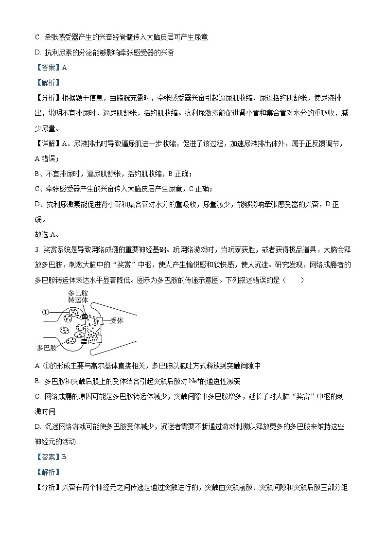 甘肃省张掖市某重点校2023-2024学年高二上学期9月月考生物试题含解析第2页