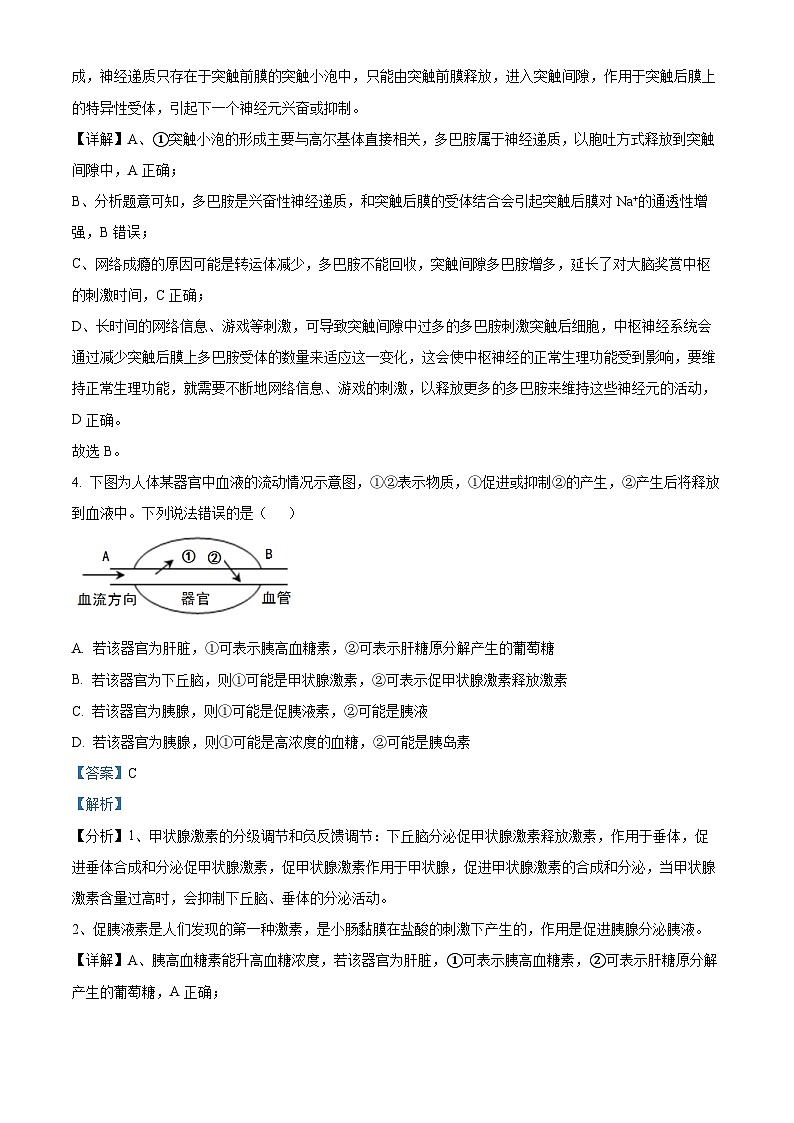 甘肃省张掖市某重点校2023-2024学年高二上学期9月月考生物试题含解析第3页