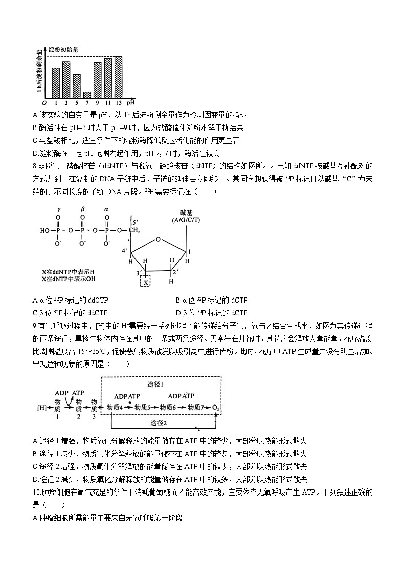 陕西省宝鸡教育联盟2023-2024学年高三上学期阶段性检测(二)生物试题03