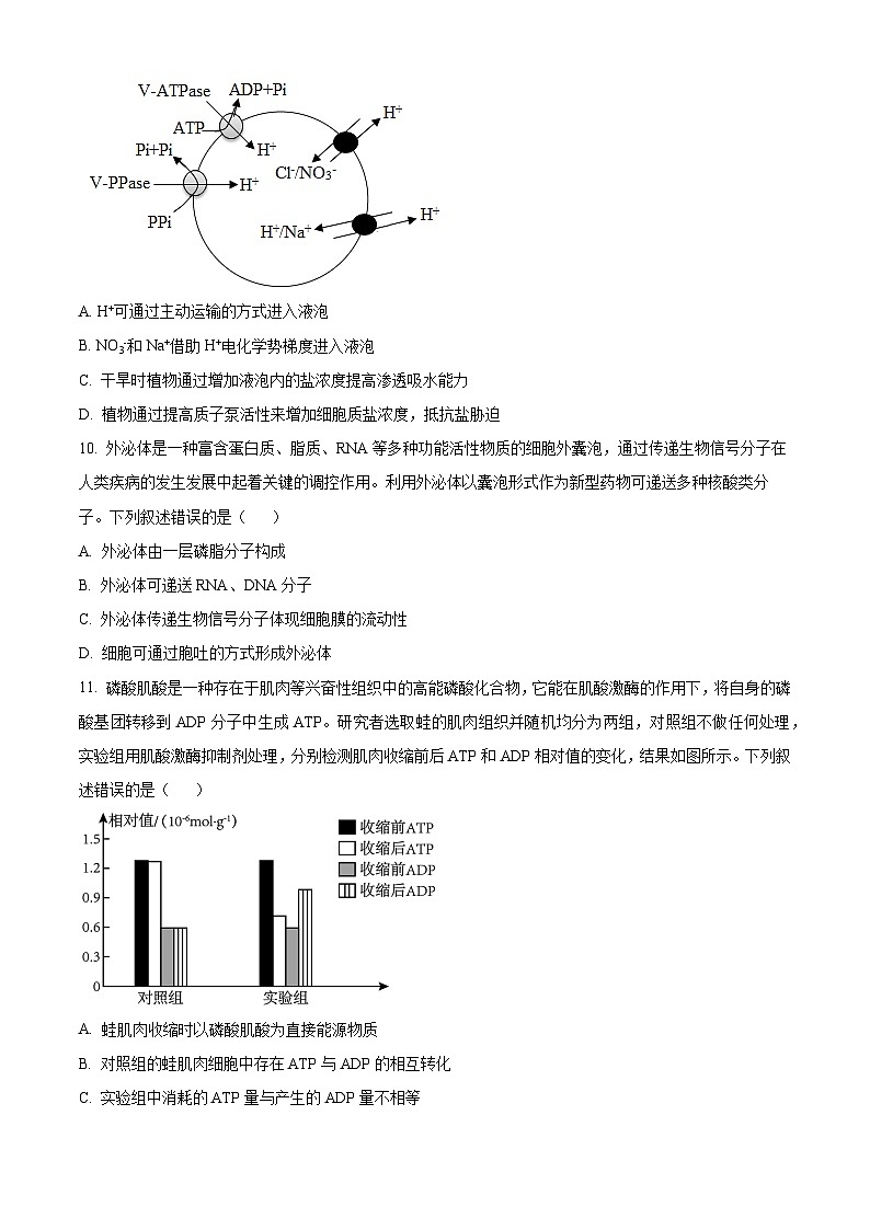 甘肃省张掖市高台县第一中学2023-2024学年高三生物上学期9月月考试题（Word版附答案）第3页