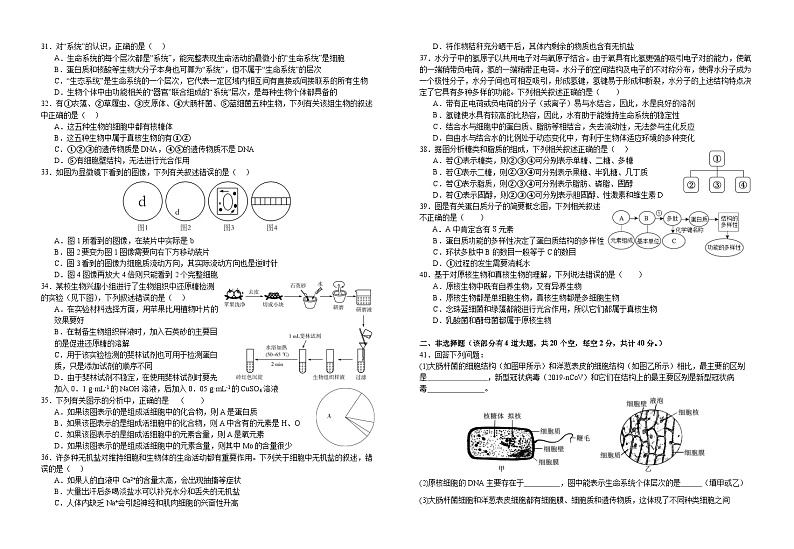 江西省宜丰县宜丰中学2023-2024学年高一上学期10月月考生物试题第3页