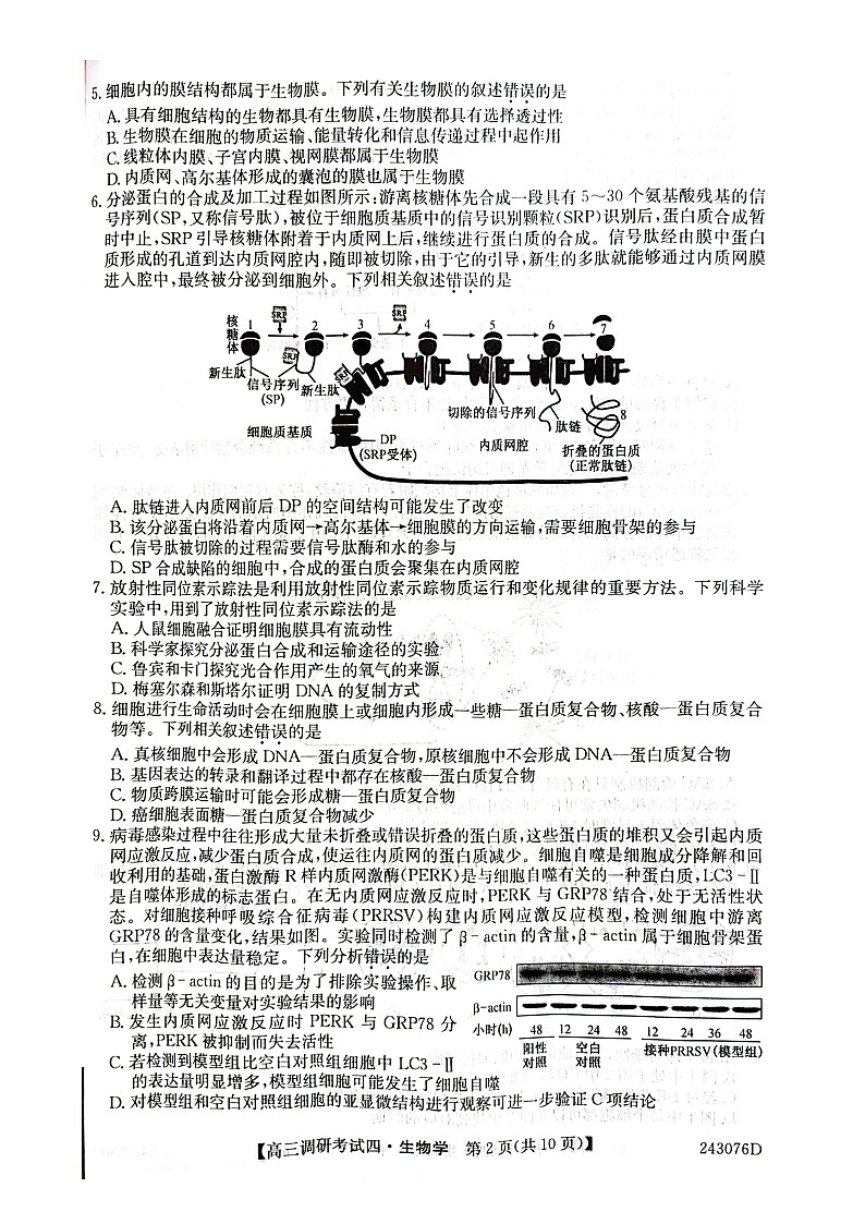 河南省TOP二十名校2023-2024学年高三上学期调研考试四生物试题02