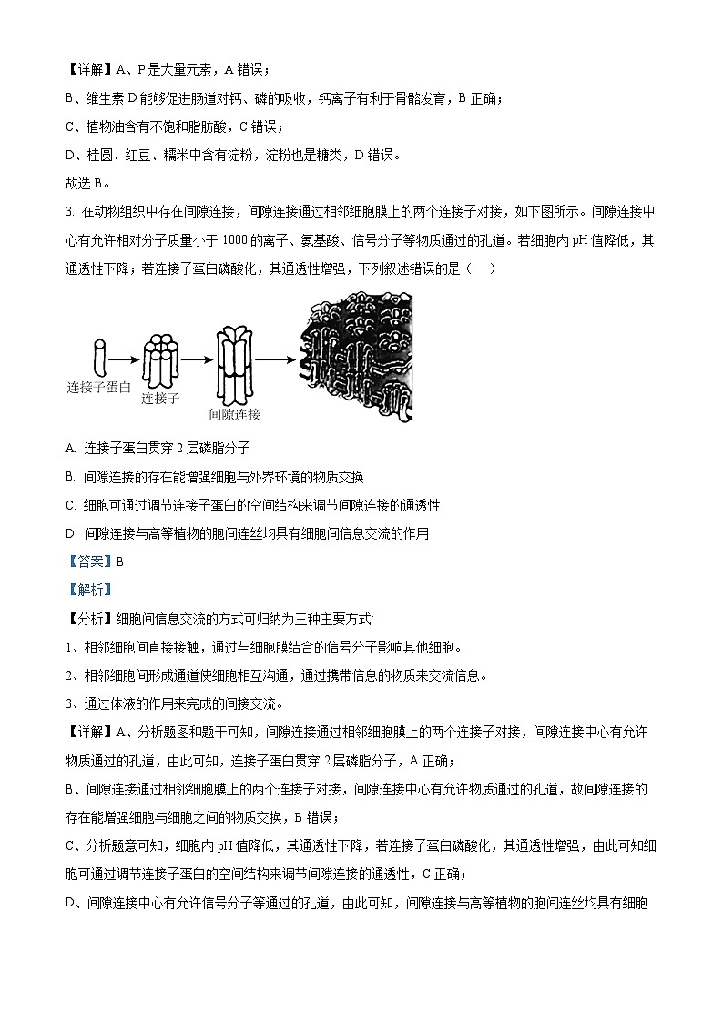 湖南省衡阳市第八中学2023-2024学年高三生物上学期10月第二次月考试题（Word版附解析）第2页
