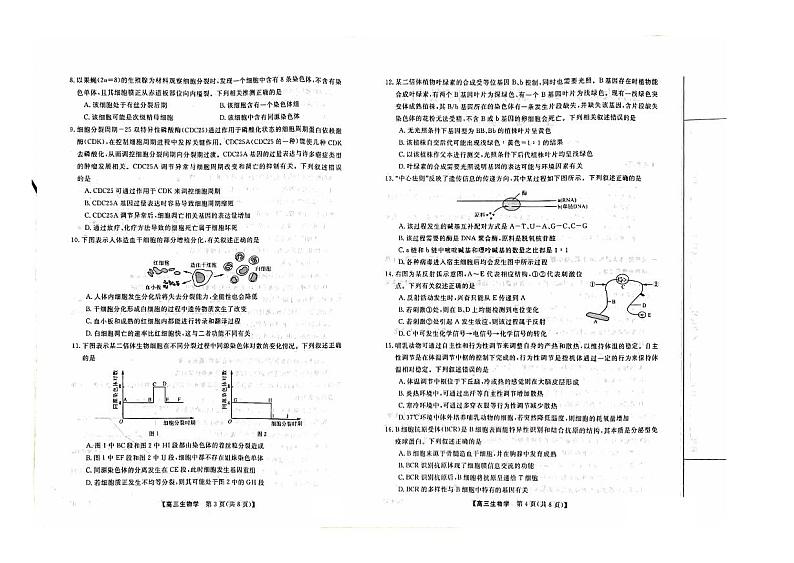 山西省部分学校2024届高三生物上学期10月联考试题（PDF版附解析）第2页