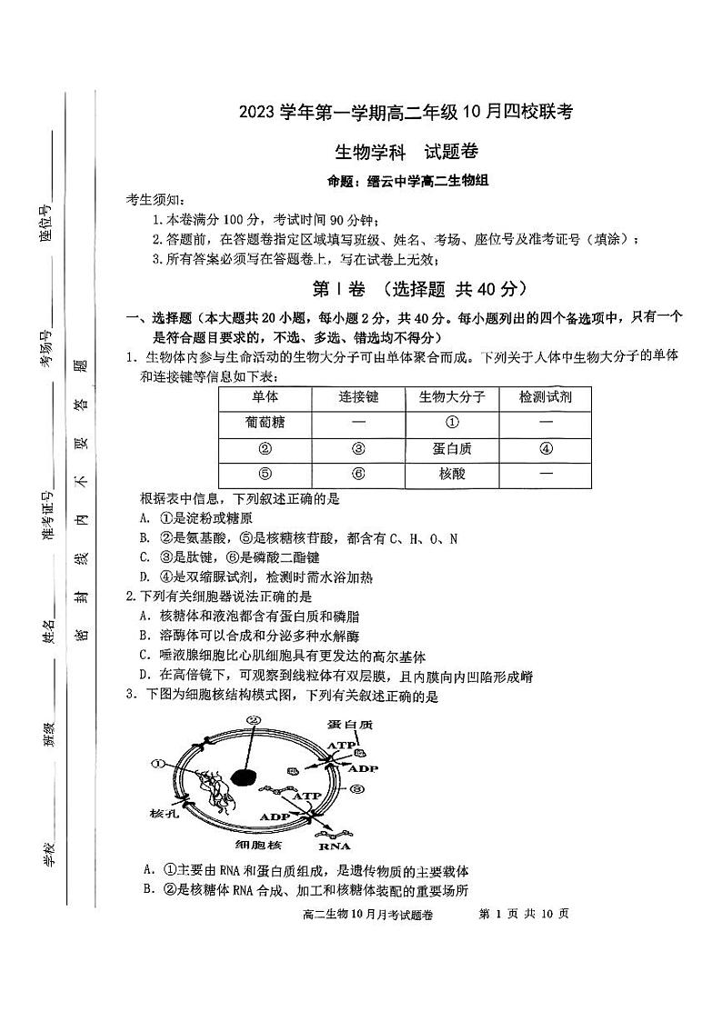 浙江省杭州市四校2023-2024学年高二生物上学期10月联考试题（PDF版附答案）01