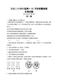 山东省邹城市第二中学2023-2024学年高一上学期10月月考生物试题